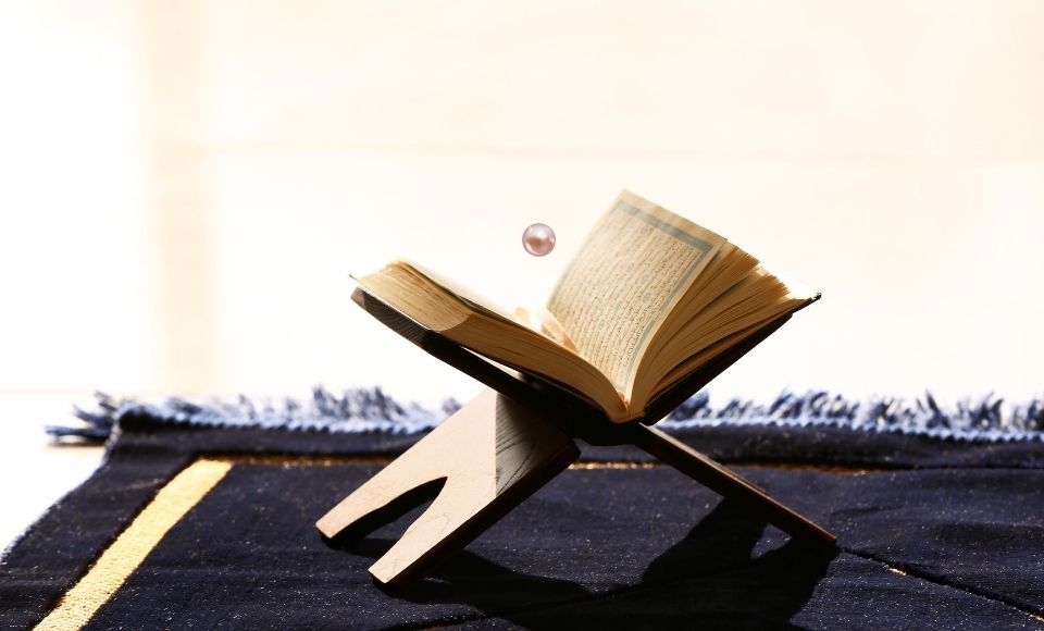 pearls-from-the-quran-17-moses-goes-to-the-pharaoh