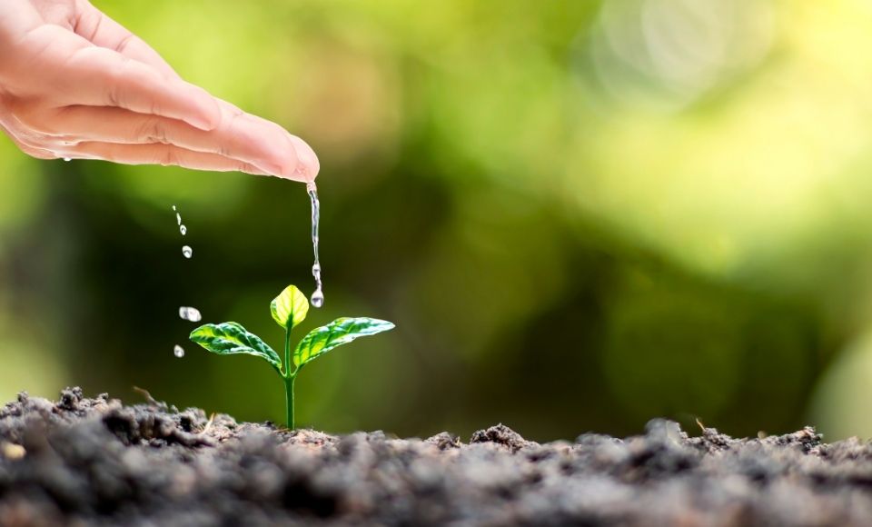 the-principles-of-prophetic-education-13-do-good