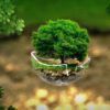 islam-and-the-environment