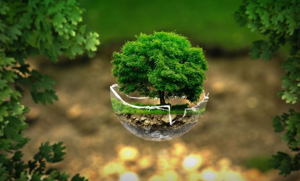 islam-and-the-environment