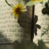 the-interpretation-of-the-quran-by-the-prophet-pbuh